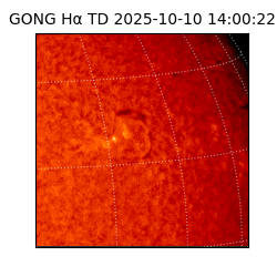 gong - 2025-10-10T14:00:22