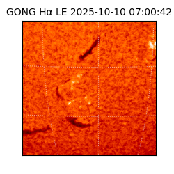 gong - 2025-10-10T07:00:42