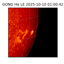 gong - 2025-10-10T01:00:42