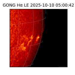 gong - 2025-10-10T05:00:42