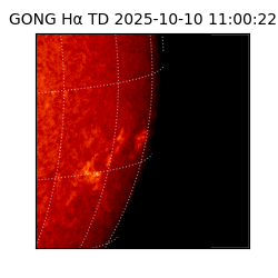 gong - 2025-10-10T11:00:22