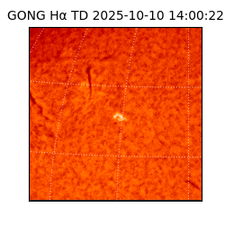 gong - 2025-10-10T14:00:22