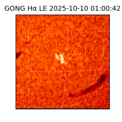 gong - 2025-10-10T01:00:42