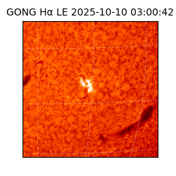 gong - 2025-10-10T03:00:42