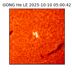 gong - 2025-10-10T05:00:42