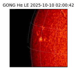 gong - 2025-10-10T02:00:42