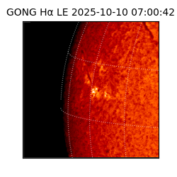 gong - 2025-10-10T07:00:42