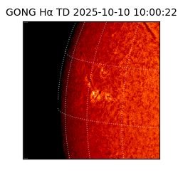gong - 2025-10-10T10:00:22