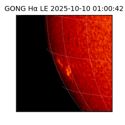 gong - 2025-10-10T01:00:42