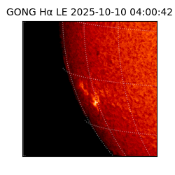 gong - 2025-10-10T04:00:42
