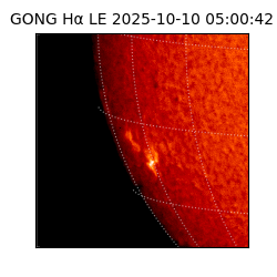gong - 2025-10-10T05:00:42