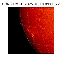 gong - 2025-10-10T09:00:22