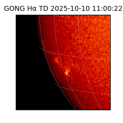 gong - 2025-10-10T11:00:22