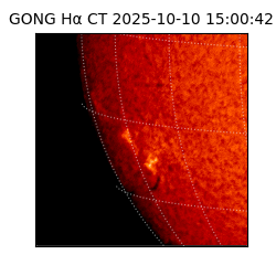gong - 2025-10-10T15:00:42