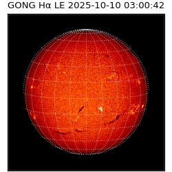 gong - 2025-10-10T03:00:42