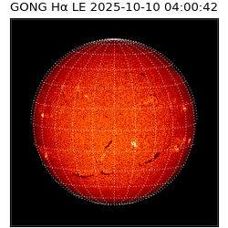 gong - 2025-10-10T04:00:42