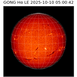 gong - 2025-10-10T05:00:42