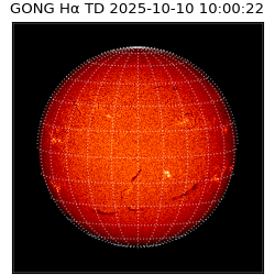 gong - 2025-10-10T10:00:22