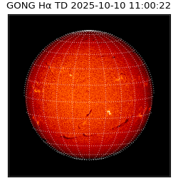 gong - 2025-10-10T11:00:22