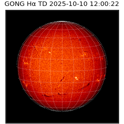gong - 2025-10-10T12:00:22