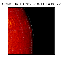 gong - 2025-10-11T14:00:22