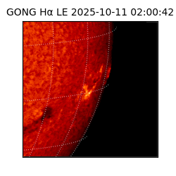 gong - 2025-10-11T02:00:42
