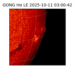 gong - 2025-10-11T03:00:42