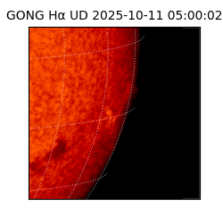 gong - 2025-10-11T05:00:02
