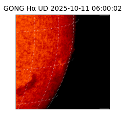 gong - 2025-10-11T06:00:02