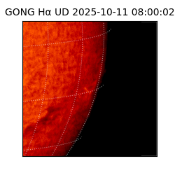 gong - 2025-10-11T08:00:02