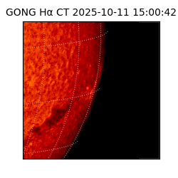 gong - 2025-10-11T15:00:42