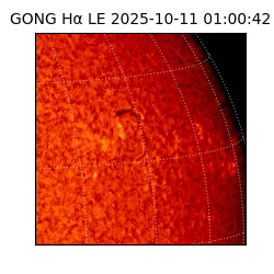 gong - 2025-10-11T01:00:42