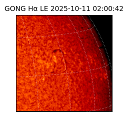 gong - 2025-10-11T02:00:42