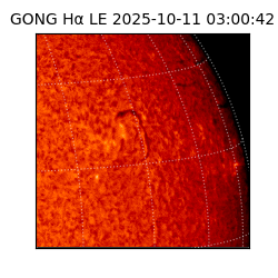 gong - 2025-10-11T03:00:42