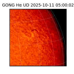 gong - 2025-10-11T05:00:02