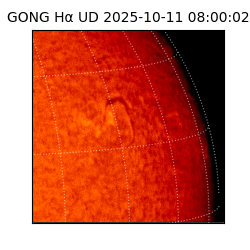 gong - 2025-10-11T08:00:02