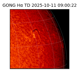 gong - 2025-10-11T09:00:22