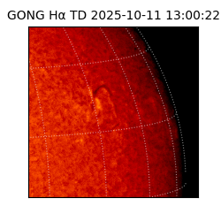 gong - 2025-10-11T13:00:22
