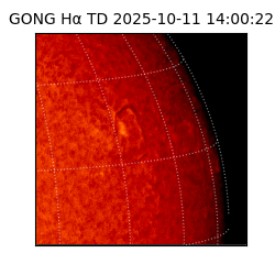 gong - 2025-10-11T14:00:22