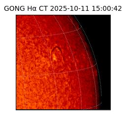 gong - 2025-10-11T15:00:42