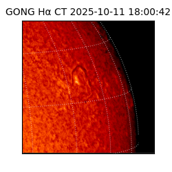 gong - 2025-10-11T18:00:42