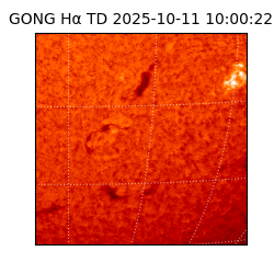 gong - 2025-10-11T10:00:22