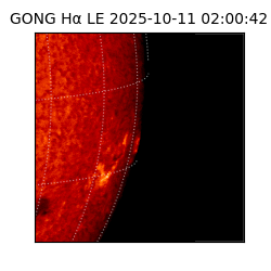 gong - 2025-10-11T02:00:42