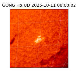 gong - 2025-10-11T08:00:02