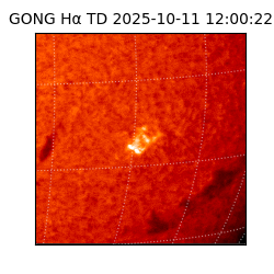 gong - 2025-10-11T12:00:22