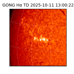 gong - 2025-10-11T13:00:22