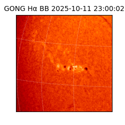 gong - 2025-10-11T23:00:02