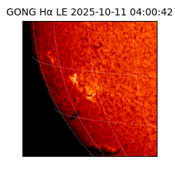 gong - 2025-10-11T04:00:42