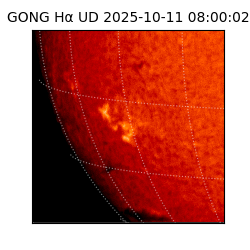 gong - 2025-10-11T08:00:02