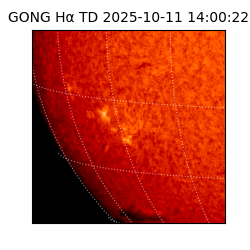 gong - 2025-10-11T14:00:22